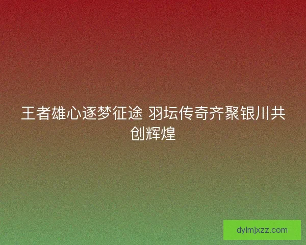 王者雄心逐梦征途 羽坛传奇齐聚银川共创辉煌